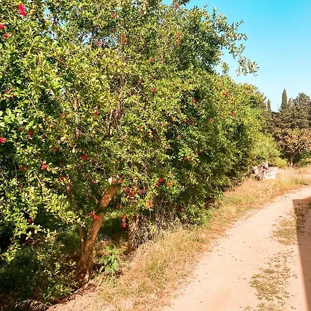 Luna&limoni Country