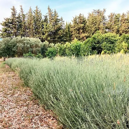 Luna&limoni Country ファームステイ