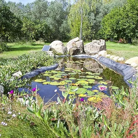 Luna&limoni Country Farm stay *