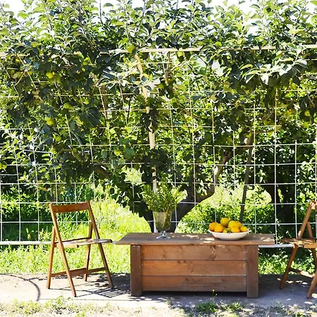 Luna&limoni Country