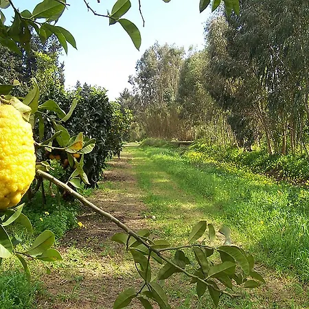 Luna&limoni Country Muravera