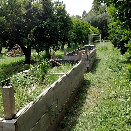 Luna&limoni Country Farm stay Muravera