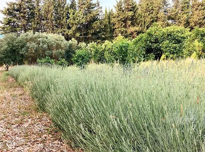 Luna&limoni Country בית חווה