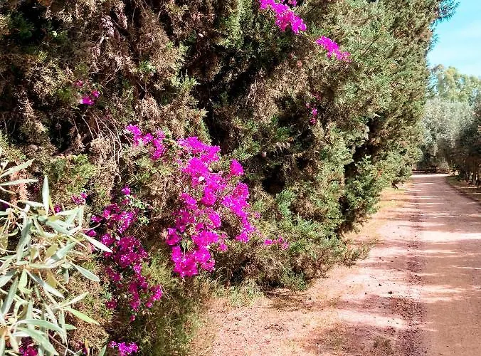 Luna&limoni Country * מוראברה