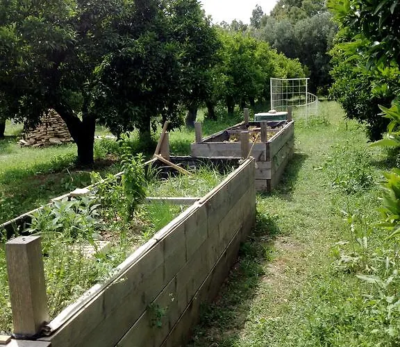 Luna&limoni Country בית חווה מוראברה